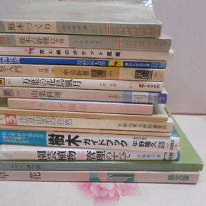 R★/検索入門 野草図鑑 全8巻+別巻ほか植物関連本25冊セット きのこ/ハーブ/庭木/山菜料理/園芸植物のすべて/.草花ほかの画像3