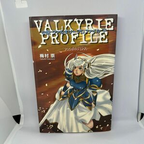 小説 ヴァルキリープロファイル アスガルド諍乱　下巻