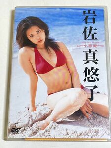 337-B2/【DVD】岩佐真悠子/小悪魔/ポストカード付