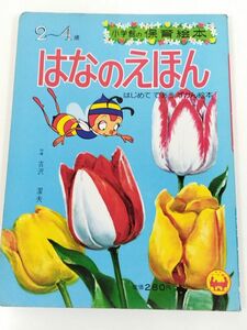 370-B19/はなのえほん/小学館の保育絵本 2～4歳/古沢潔夫/1972年/みつばちハッチ