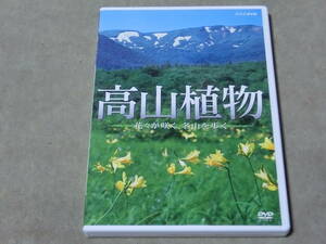 高山植物 花々が咲く、名山を歩く　NHK　トレッキング　日本　世界の山々　DVD　