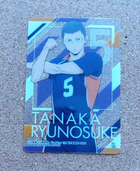 ハイキュー!! クリアビジュアルカード 田中龍之介
