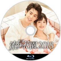 流星花園2018【イヌ】中国ドラマ『Ring』ブルーレイ『Mark』_画像2