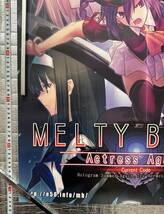 EXOLE MELTY BLOOD Actress Againポスター_画像3