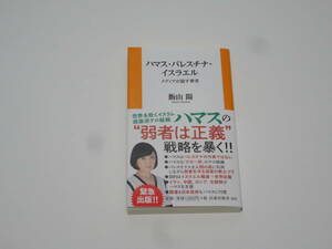 ★☆ハマス・パレスチナ・イスラエル メディアが隠す事実 飯山陽 扶桑社新書☆★