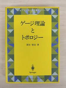 KK67-019　シュプリンガー現代数学シリーズ　ゲージ理論とトポロジー　深谷賢治　㈱シュプリンガー・フェアラーク東京　※汚れあり