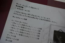 未使用☆家庭用 カッピング セット 吸い玉 カップ5種類19個 ケース付 つぼ押しピン10本付 肩こり　健康器具☆4146_画像2