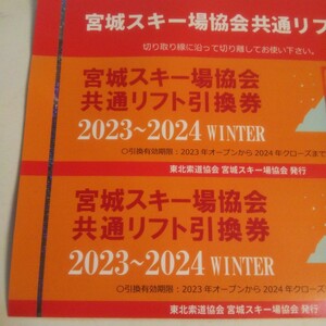 宮城スキー場協会 共通リフト引換券２枚セット えぼし スプリングバレー