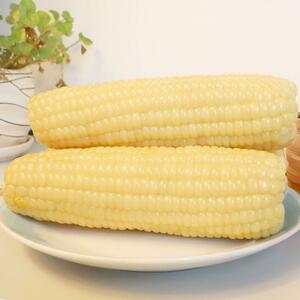  mochi corn corn 10 pcs set rice‐flour dumplings rice 
