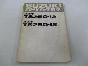 TS250 パーツリスト スズキ 正規 中古 バイク TS250-12 TS250-13 TS2504-38203～ 41906～整備に役立つ ef 車検 パーツカタログ