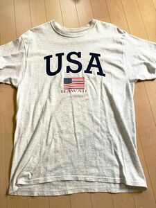 ハワイ購入 ヘインズ Tシャツ USA HAWAII HDM アッシュホワイト 日本のXL相当 星条旗 HANES USDM メンズ