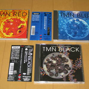ベスト3枚セット TM NETWORK TMN TMネットワーク ブラック レッド ブルー BLACK RED BLUE BEST 小室哲哉 宇都宮隆 木根尚登の画像1