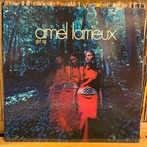 AMEL LARRIEUX/get up groove theory 12inch 90's R&B AMEL LARRIEUX/ neo soul