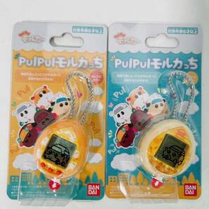 【新品未開封】2色セット バンダイ PUIPUI モルカっち オレンジカラー クリームカラー 子ども プレゼント たまごっち モルカー おもちゃの画像1