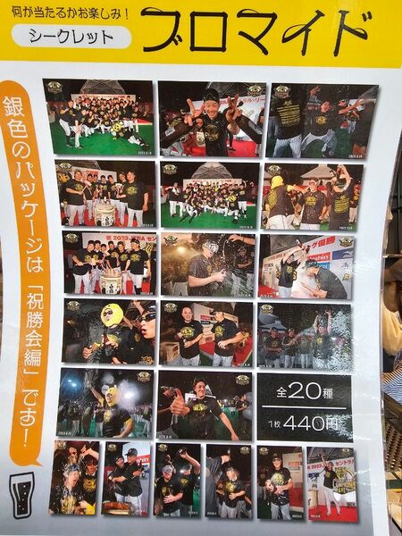 甲子園限定【未開封シークレットプロマイド 祝勝会編】阪神タイガースセリーグ優勝記念 2023 ショップアルプス 日本一記念 制覇