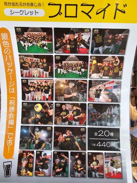 甲子園限定【未開封シークレットプロマイド 祝勝会編】阪神タイガースセリーグ優勝記念 2023 ショップアルプス 日本一記念 制覇