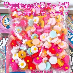 未開封200Peaceパック！SALE3セット限定★ミニガーベラ