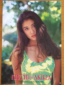 1994 год Kiuchi Akira календарь порез ... товар 
