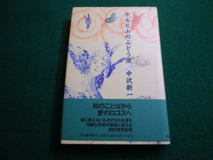 ■ケルビムのぶどう酒　中沢新一　河出書房新社■FAIM2024010402■