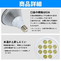 【送料無料】アクアリウム 電球 12LED 青8/紫外線4 水槽 用 24W スポット ライト E26 照明 交換 植物育成 水草 サンゴ 熱帯魚 照射角90度_画像3