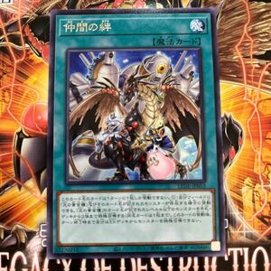 遊戯王　レア　LEDE-JP053　仲間の絆　LEGACY OF DESTRUCTION