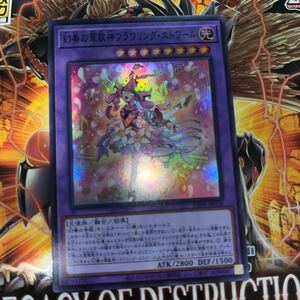 遊戯王　スーパー　LEDE-JP036　 幻奏の華歌神フラワリング・エトワール　LEGACY OF DESTRUCTION