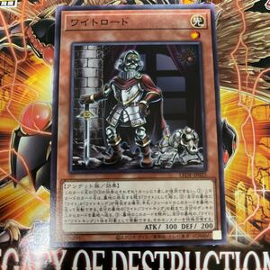 遊戯王　ノーマル　LEDE-JP025　ワイトロード　LEGACY OF DESTRUCTION