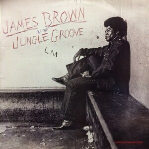 James Brown - In The Jungle Groove（2LP）