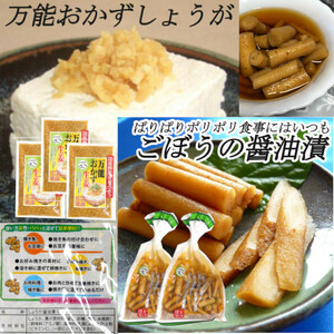 宮崎の漬物 ごぼう醤油漬 100g×2袋 万能おかず生姜 130g×3袋 ご飯のお供 卵焼きの具 送料無料