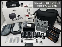 ■1円スタート!　DJI Mini 2＋大容量バッテリー他オプション多数　未フライト■_画像1