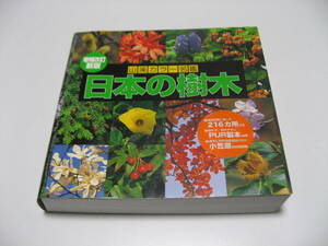 小傷み　増補改訂新版 日本の樹木　山溪カラー名鑑