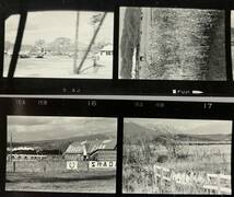 ＊古い 鉄道写真 ネガフィルム 昭和40年代 蒸気機関車 室蘭線 社台ファーム 牧場 北海道_画像3