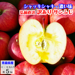 サンふじ りんご 蜜入りも 訳あり リンゴ 林檎 5kg 青森産 葉とらず ふじ フジ 富士 冨士 送料無料