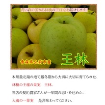 王林 おうりん オウリン 訳あり 5kg 青森産 リンゴ 林檎 りんご 葉とらずりんご_画像3