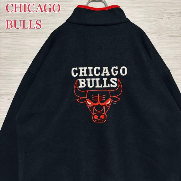 【希少デザイン】CHICAGO BULLS シカゴブルズ　フリース　ハーフジップ　両面デザイン　ビッグロゴ　ヴィンテージ　NBA ストリート　バスケ