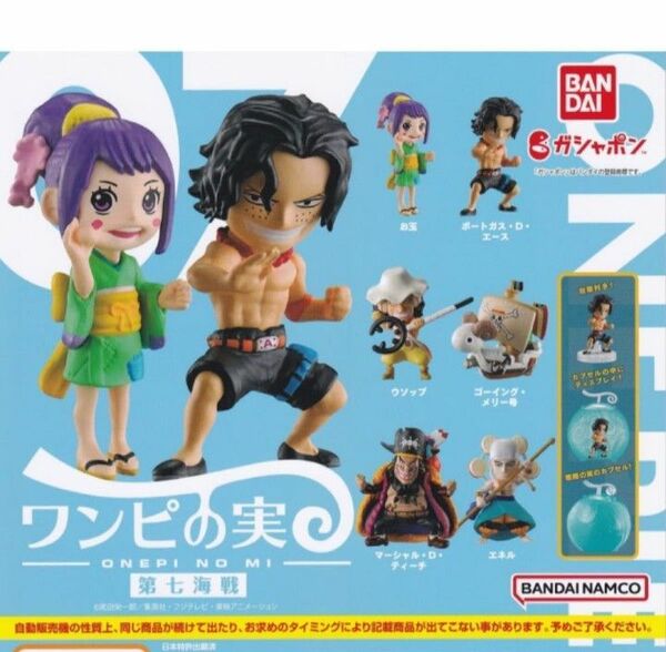 全6種セット ガチャガチャONE PIECE ワンピの実 第七海戦 全6種セット ガチャガチャ