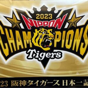 ☆2024年6月30日(日) 迄、お値下げします！☆ 2023年度 阪神タイガース〝AREのARE達成！〟日本一記念 入場券セット