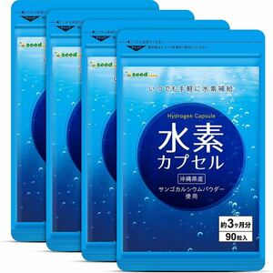 ★送料無料★水素カプセル 約12ヶ月分(2026.2~)(3ヶ月分90粒入り×4袋)シードコムス サプリメント サンゴカルシウムパウダー 沖縄県産