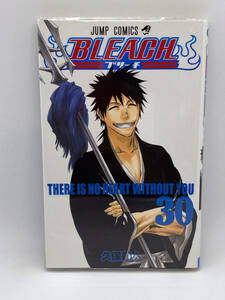 BLEACH -ブリーチ-　第30巻：久保帯人