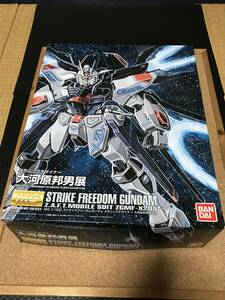 機動戦士ガンダムSEED MG 1/100 ZGMF-X20A ストライクフリーダムガンダム　大河原邦男展　会場限定品