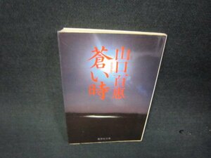 蒼い時　山口百恵　集英社文庫　日焼け強め/RDQ