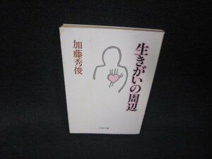 生きがいの周辺　加藤秀俊　文春文庫　日焼け強シミ有/RDW