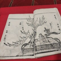 挿花 錦乃幣 廣誠斎源甫 松川半山画 元治元年 華道 生け花 江戸時代　検） 古書和書古文書写本古本 NY_画像7