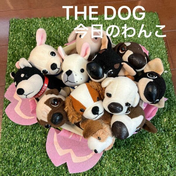 犬 ぬいぐるみ ミニチュア 11体+おまけ セット売り THE DOG 今日のわんこ