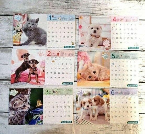 カレンダー 2024 壁掛カレンダー 卓上カレンダー 花 犬 猫 まとめ売り 【４点】