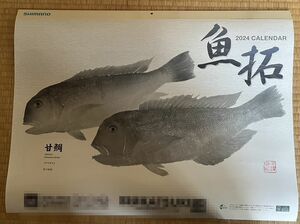2024年 SHIMANO シマノ 魚拓カレンダー 店名有り掛けフィッシングカレンダー 新品