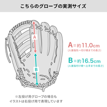 【全紐交換済み 】 SSK 軟式グローブ / 内野手用 型付け済み (エスエスケイ グラブ) [WE858]_画像7