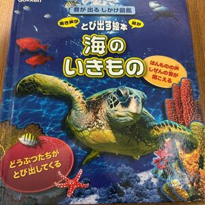 音が出るしかけ図鑑　海のいきもの とび出す絵本　ジャンク品