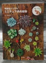 ○【１円スタート】　樹脂粘土で作くる ミニチュア多肉植物　製作例　製作手順　道具　材料_画像1