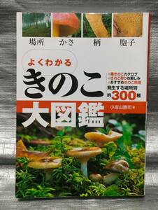 ○【１円スタート】　よくわかる　きのこ大図鑑　発生場所別300種　毒キノコカタログ　永岡書店